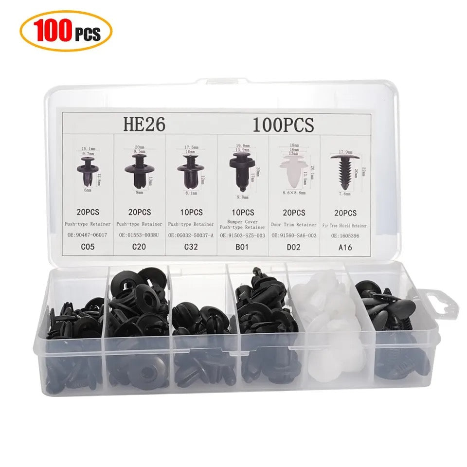 100pcs Auto Plastic Clips Kit