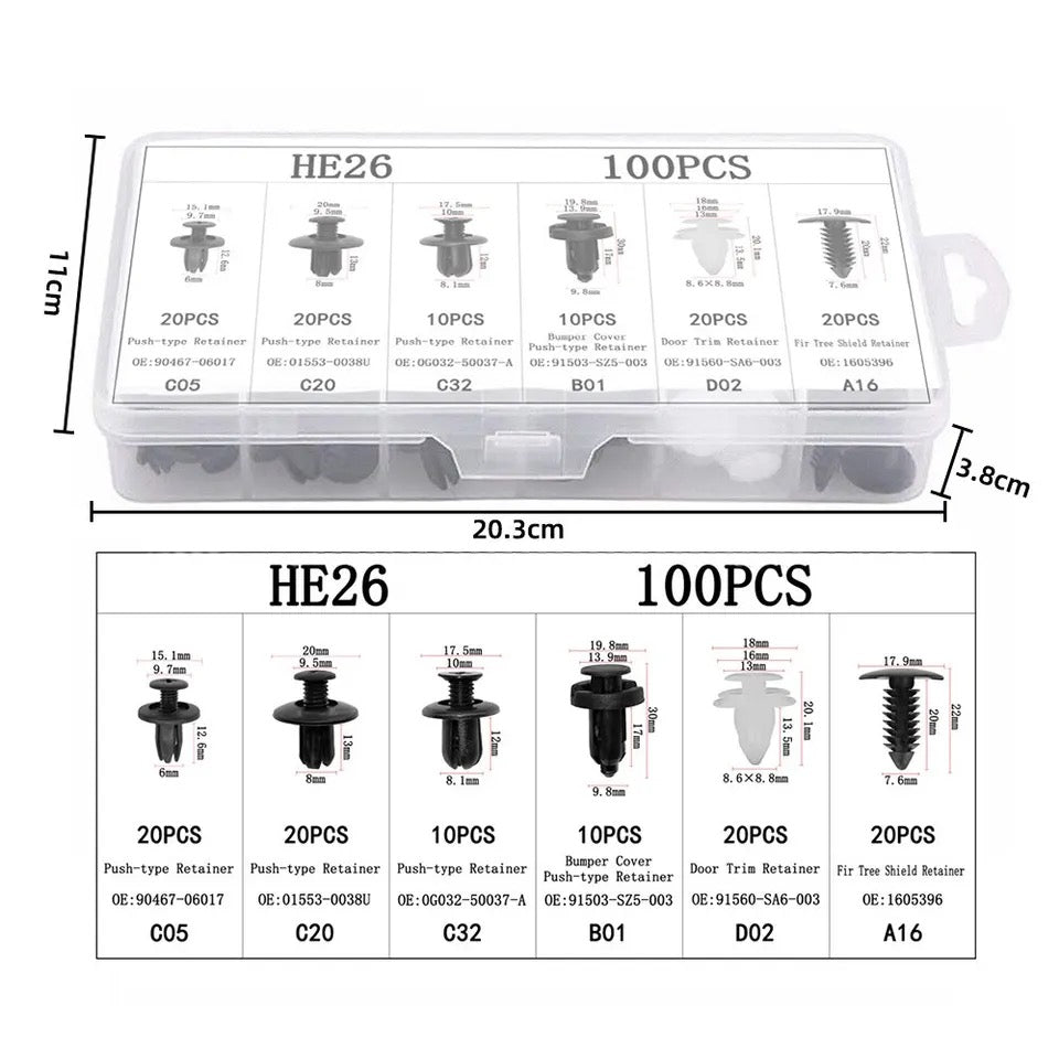 100pcs Auto Plastic Clips Kit