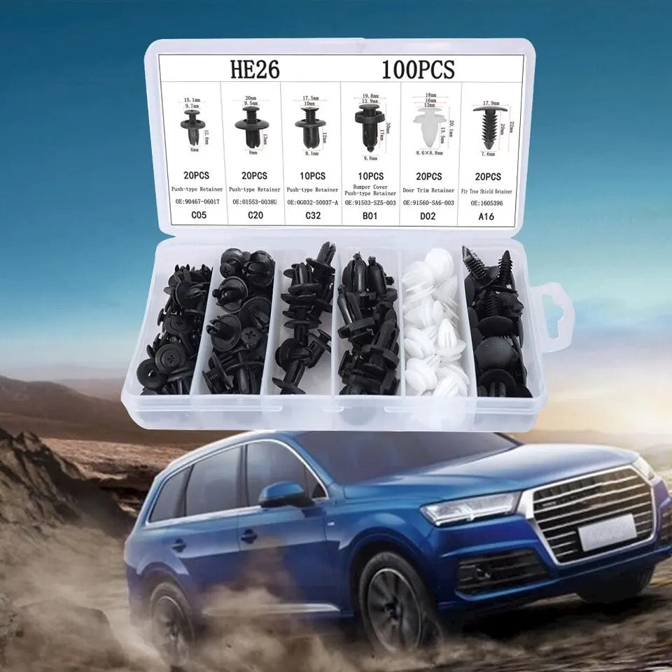 100pcs Auto Plastic Clips Kit